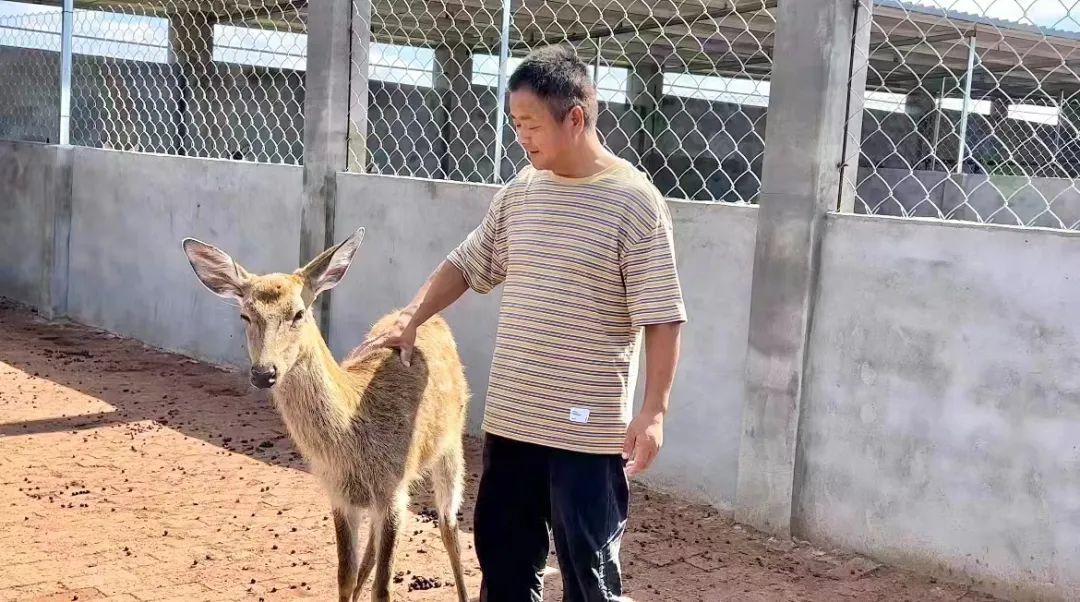 巴黎人网站不给提